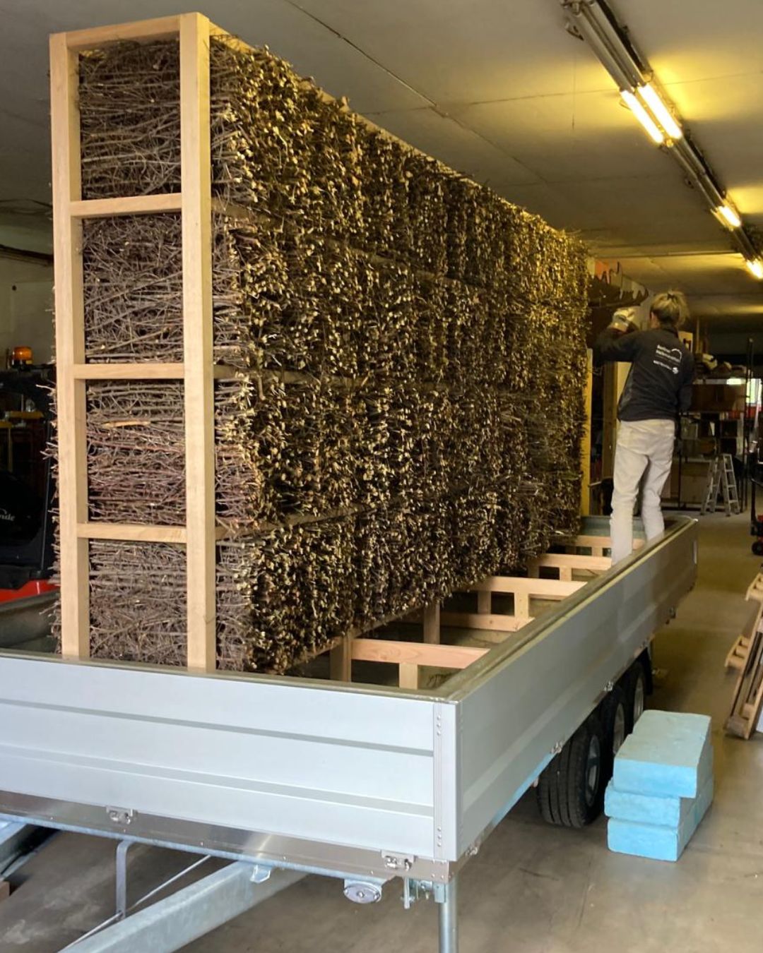 Schwarzdorn für das erste mobile Gradierwerk